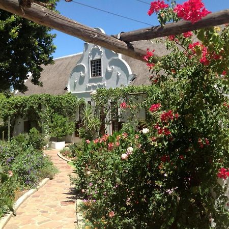 Wittedrift Manor House 호텔 툴바흐 외부 사진